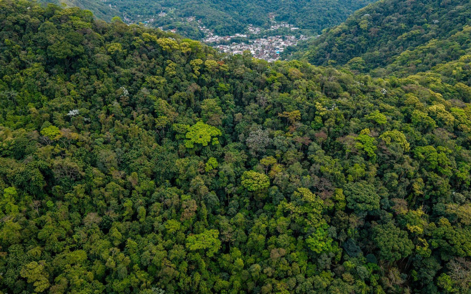 Dense forested mountains surround a small town nestled in a distant valley clearing